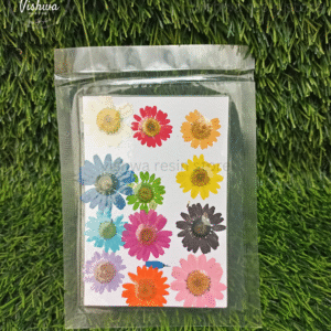 12 in 1 multi pressed dry daisy flowers