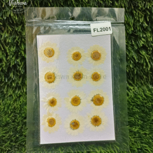 12 in 1 daisy pressed dry flowers – multiple colors
