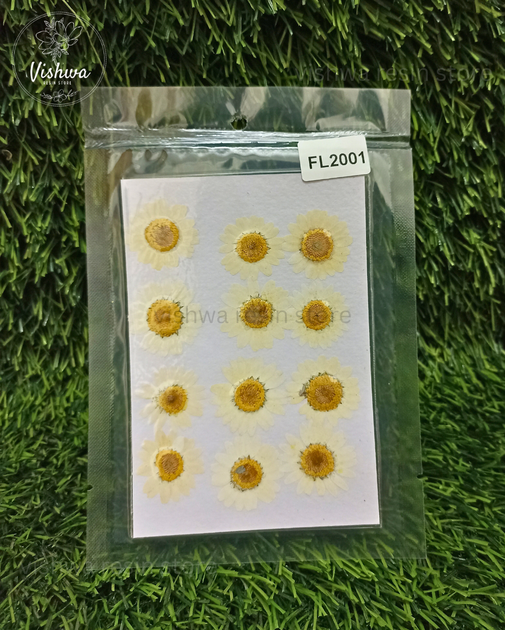 12 in 1 daisy pressed dry flowers – multiple colors