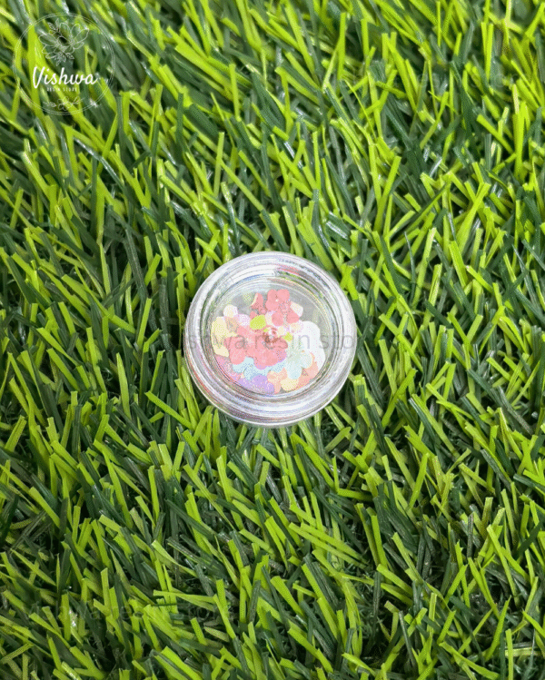 Multi Plum Blossom Pressed Flower